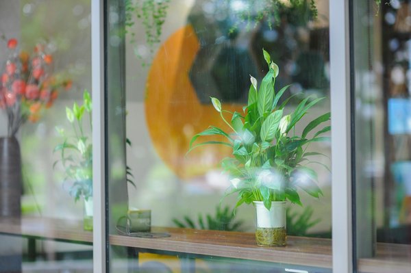 Le guide ultime pour choisir votre agence de génération de leads