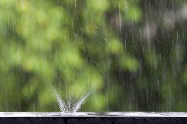 Récupération de l'eau de pluie : un allié pour votre jardin