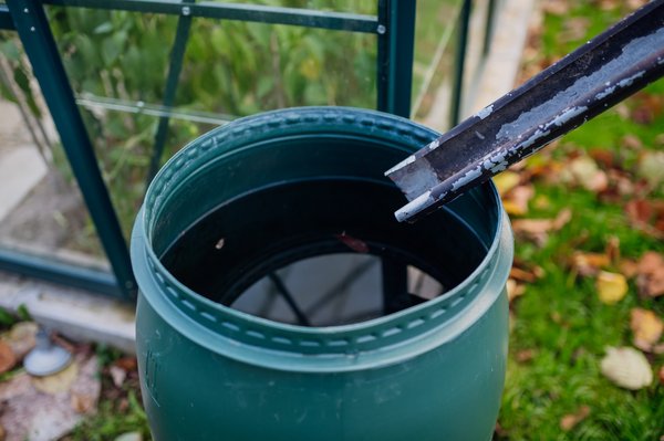 10 raisons d'utiliser l'eau de pluie pour un jardin florissant